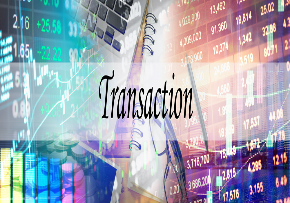 Transaction Advisory Services